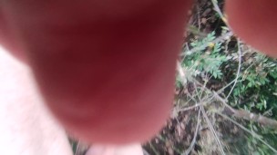 naked in the wood, walk in the brambles near road